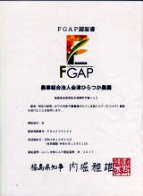 fgap